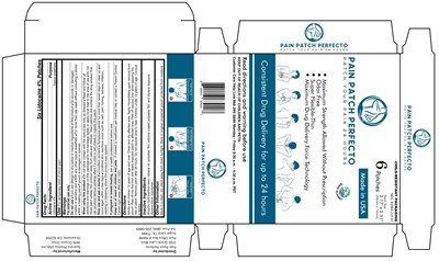 Pain Patch Perfecto Final (Pain Patch Perfecto Final)
